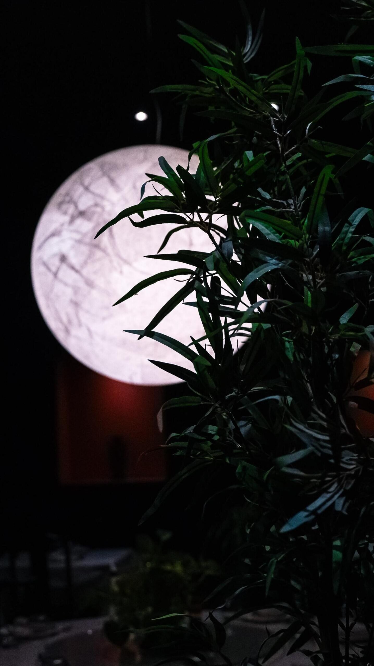 Interni Ristorante Ni-Hao Copparo(2)